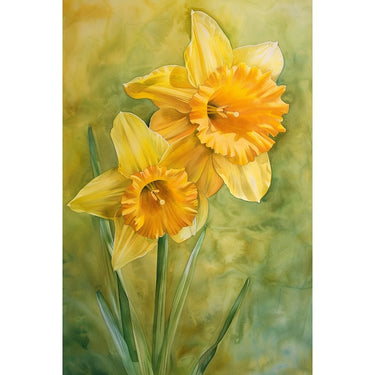 Daffodil Canvas